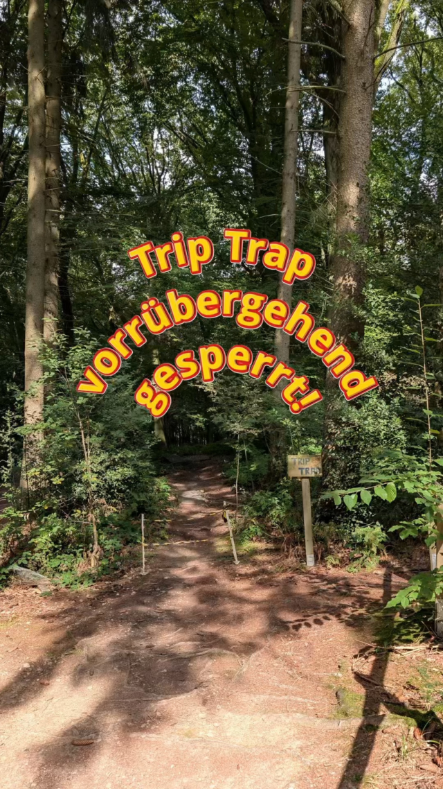 Dank Jan und Paul, wurde der Anlieger auf der Trip Trap angegangen. Das Ergebnis kann sich sehen lassen, muss aber noch was ruhen und sich setzen. Bei der Strecken Planung für die Vereinsmeisterschaft haben Elias Frank und ich noch was weiter gemacht. Vielen Dank auch an Frank für das Video! Bis bald im Wald 🤙